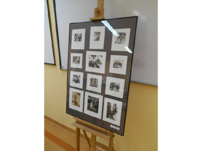 Array.description